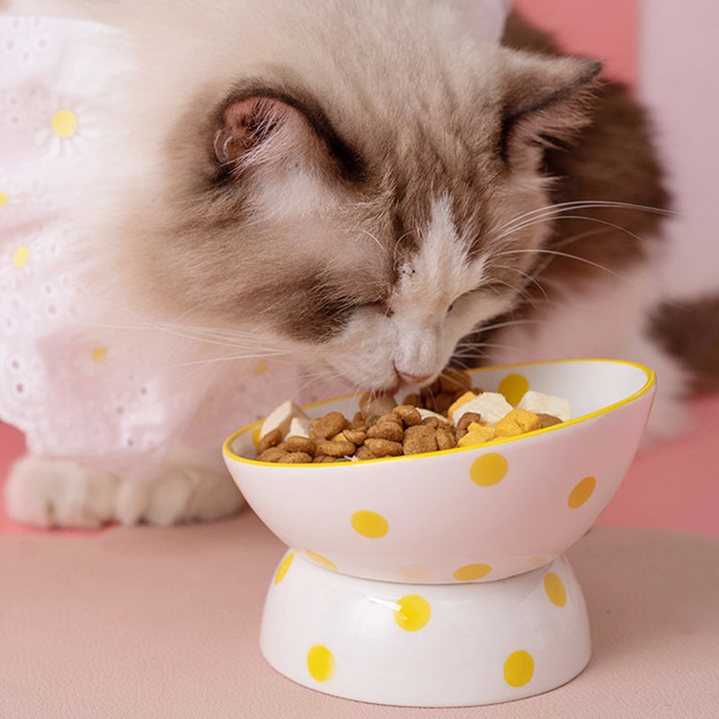 Gamelle ronde à pois pour chats - Élégante et pratique