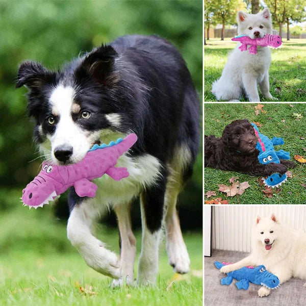 Jouet Dino pour chiens - Fort et amusant