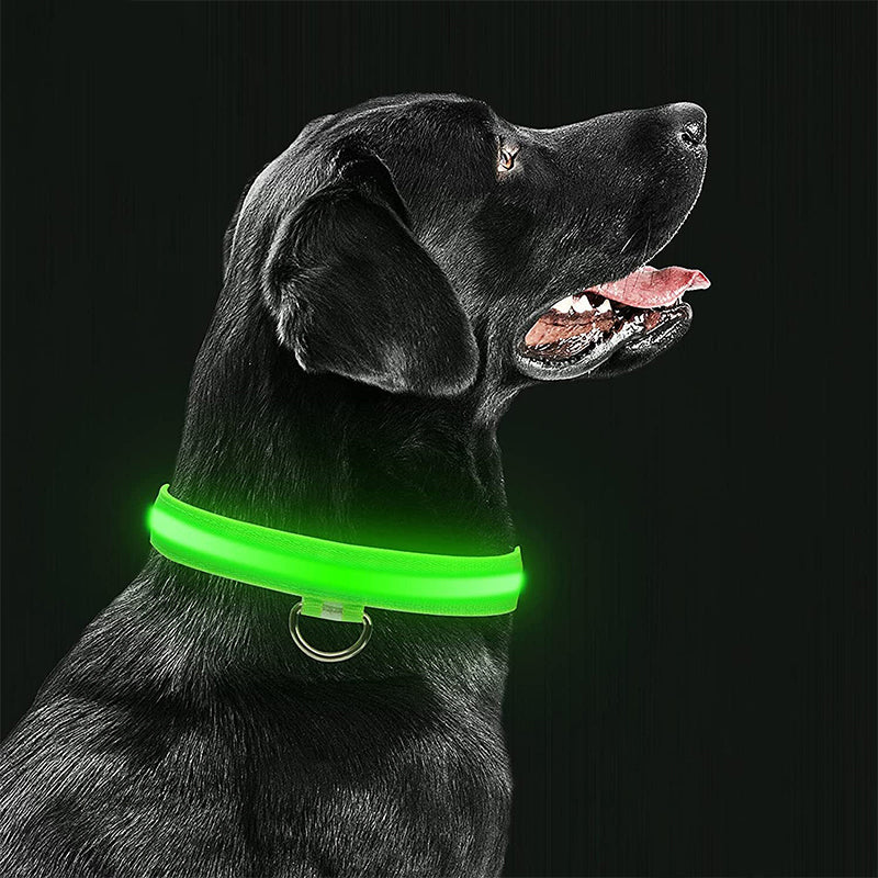 Collier lumineux - Sécurité pour chiens dans le noir