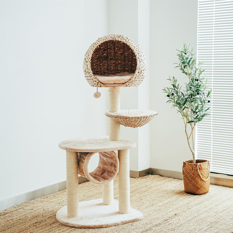 Arbre à chat en forme de nid d'oiseau - Espace de jeu et de repos pour chats