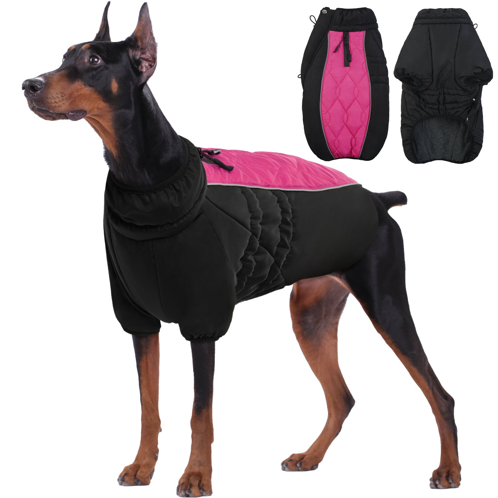 PawComfort - Veste pour chien doublée en polaire - Chaleur pour les jours froids