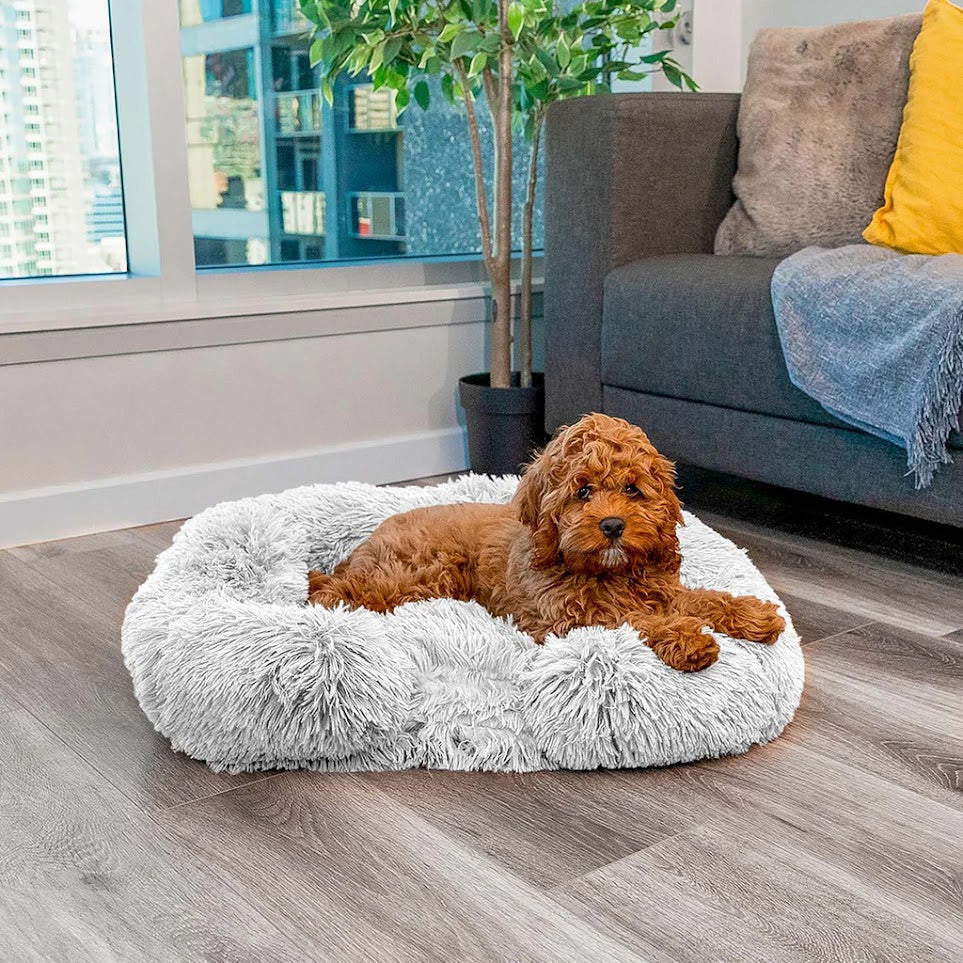 PawComfort – Lit confortable pour chien | Parfait pour une bonne nuit de sommeil