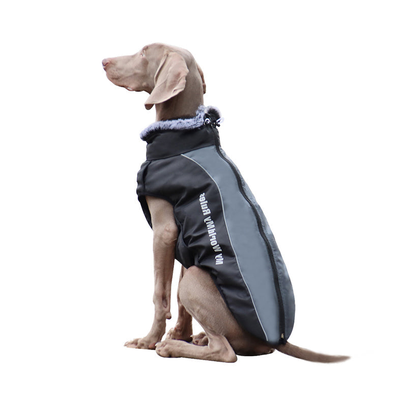 PawComfort - Manteau imperméable pour chien avec harnais intégré | Parfait pour les activités de plein air