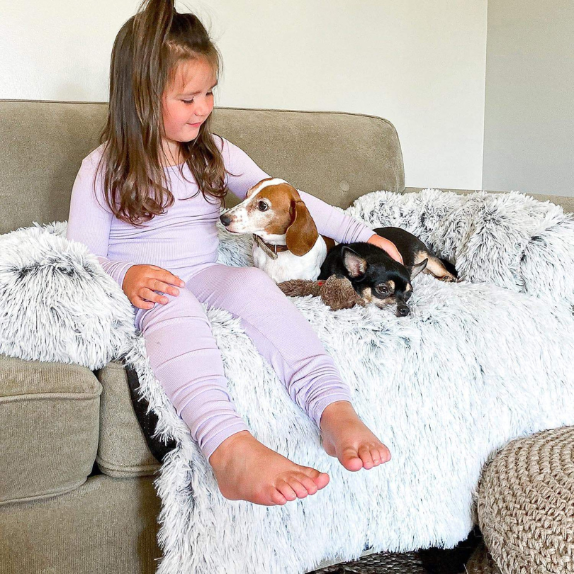 PawComfort – Protecteur de meubles et taille de lit pour chien | Idéal pour se protéger