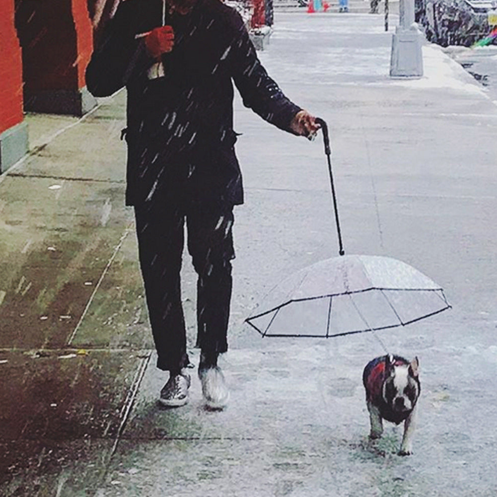 Parapluie transparent pour animaux de compagnie - Protégez votre chien de la pluie