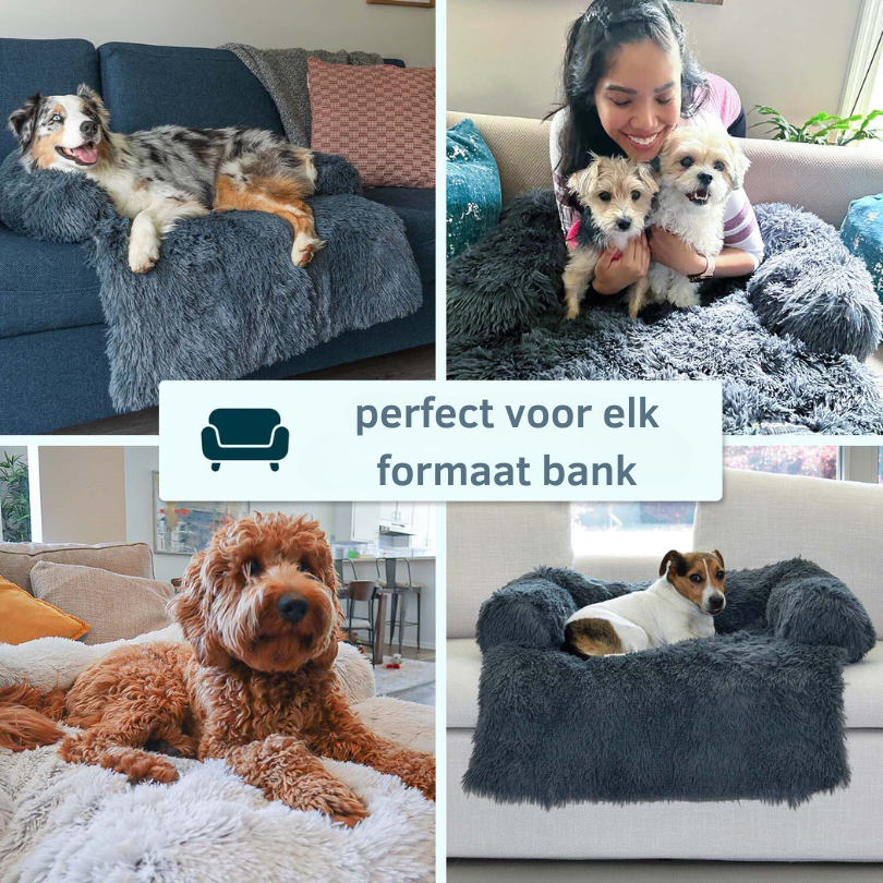 PawComfort – Protecteur de meubles et taille de lit pour chien | Idéal pour se protéger