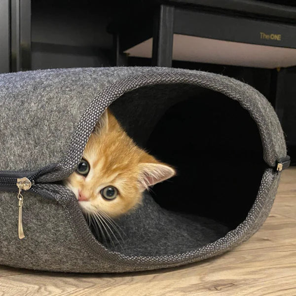 Lit et maison de jeu pour chats - Confort et divertissement