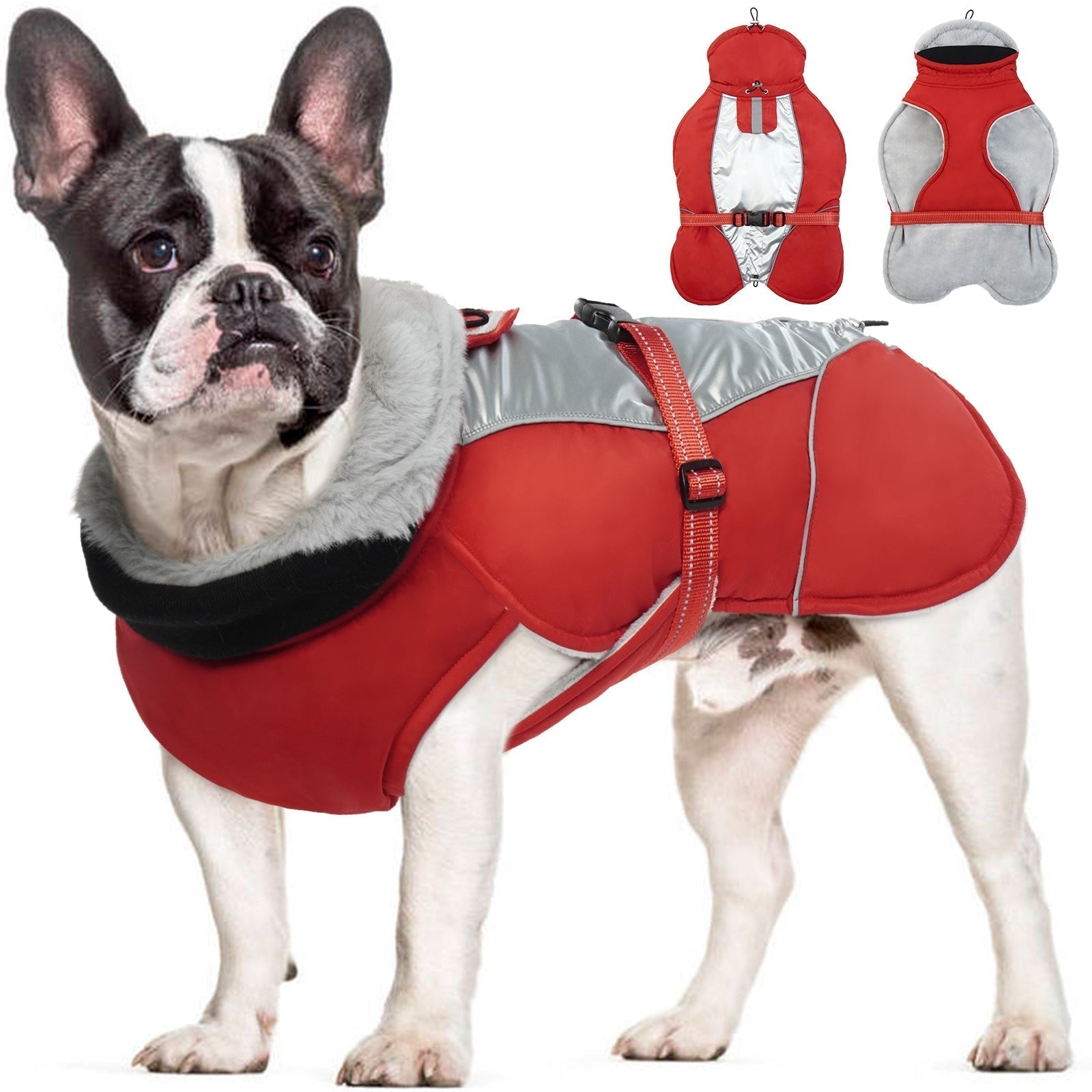 PawComfort - Gilet réfléchissant pour chien pour l'hiver | Sûr et chaleureux