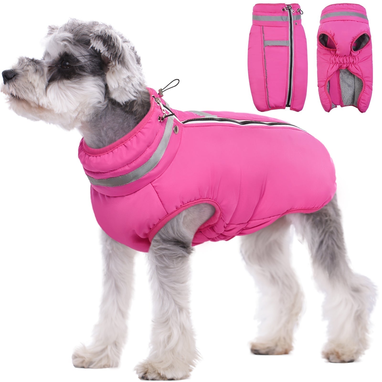 PawComfort - Manteau d'hiver réfléchissant pour chiens | Visibilité et confort