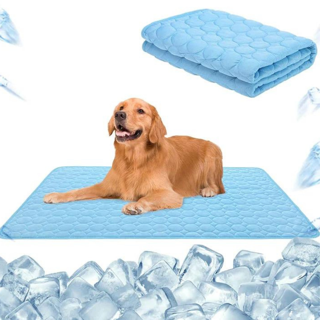 PawComfort – Tapis rafraîchissants pour chiens | Idéal pour les journées chaudes