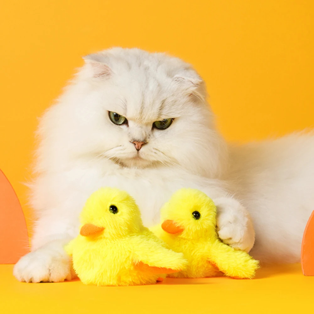 Jouet canard battant pour chats - Amusement garanti pour votre félin