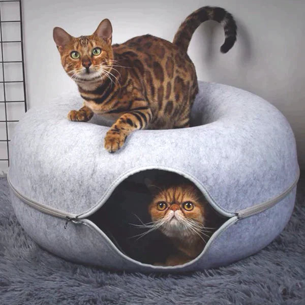 Lit et maison de jeu pour chats - Idéal pour confort et amusement