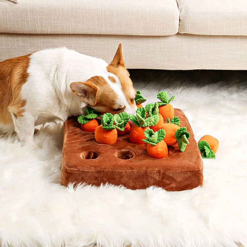 Jouet pour chien Carrot Garden - Puzzle interactif amusant