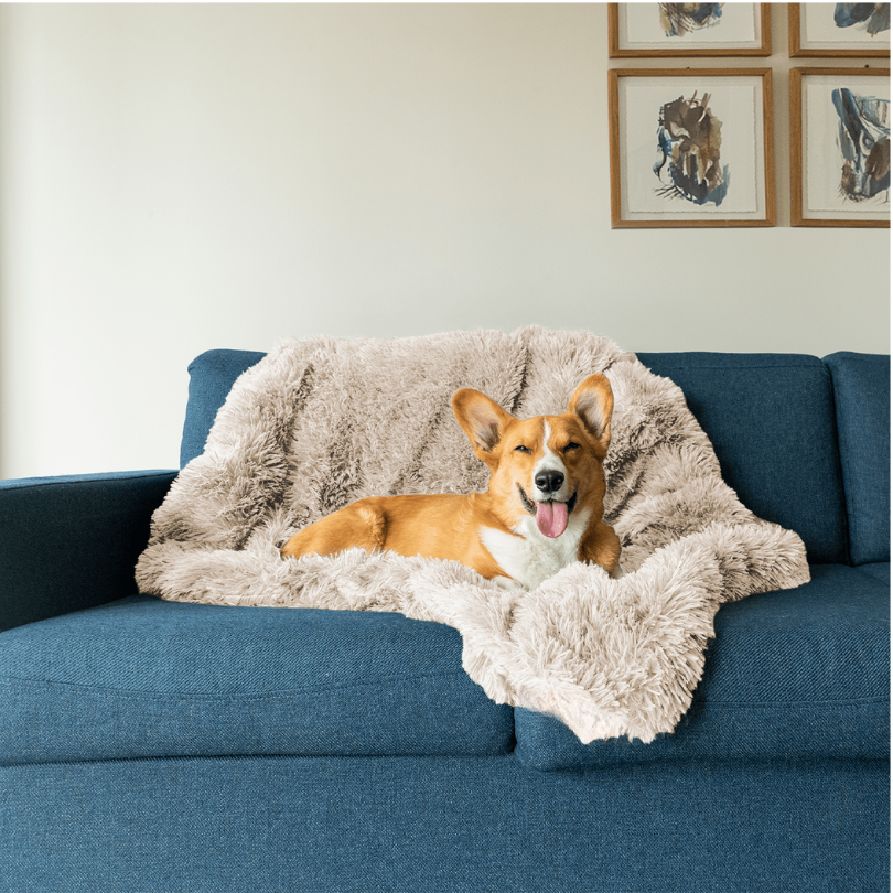 PawComfort - Couverture agréable pour chien | Chaleur pour les journées froides