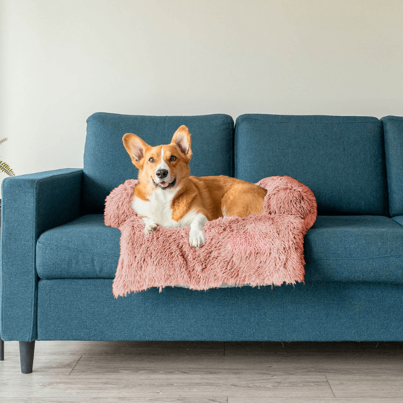 PawComfort – Protecteur de meubles et taille de lit pour chien | Idéal pour se protéger