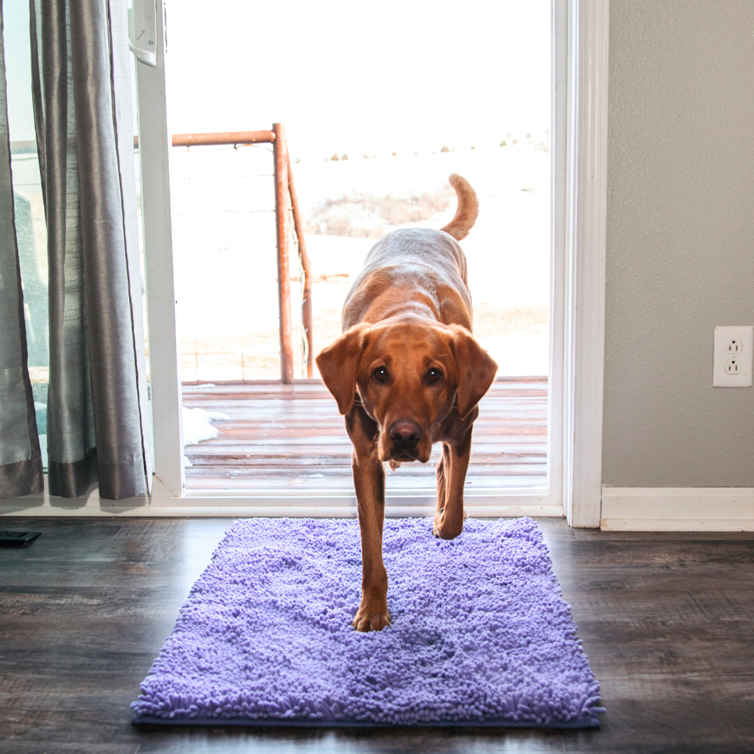 Paillasson absorbant pour chien - Pour des pattes propres