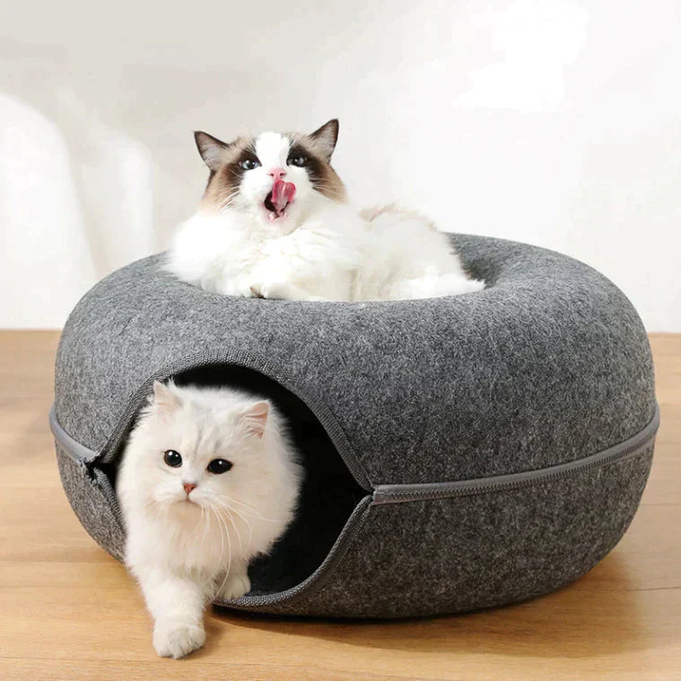 Lit et maison de jeu pour chats - Confort et divertissement