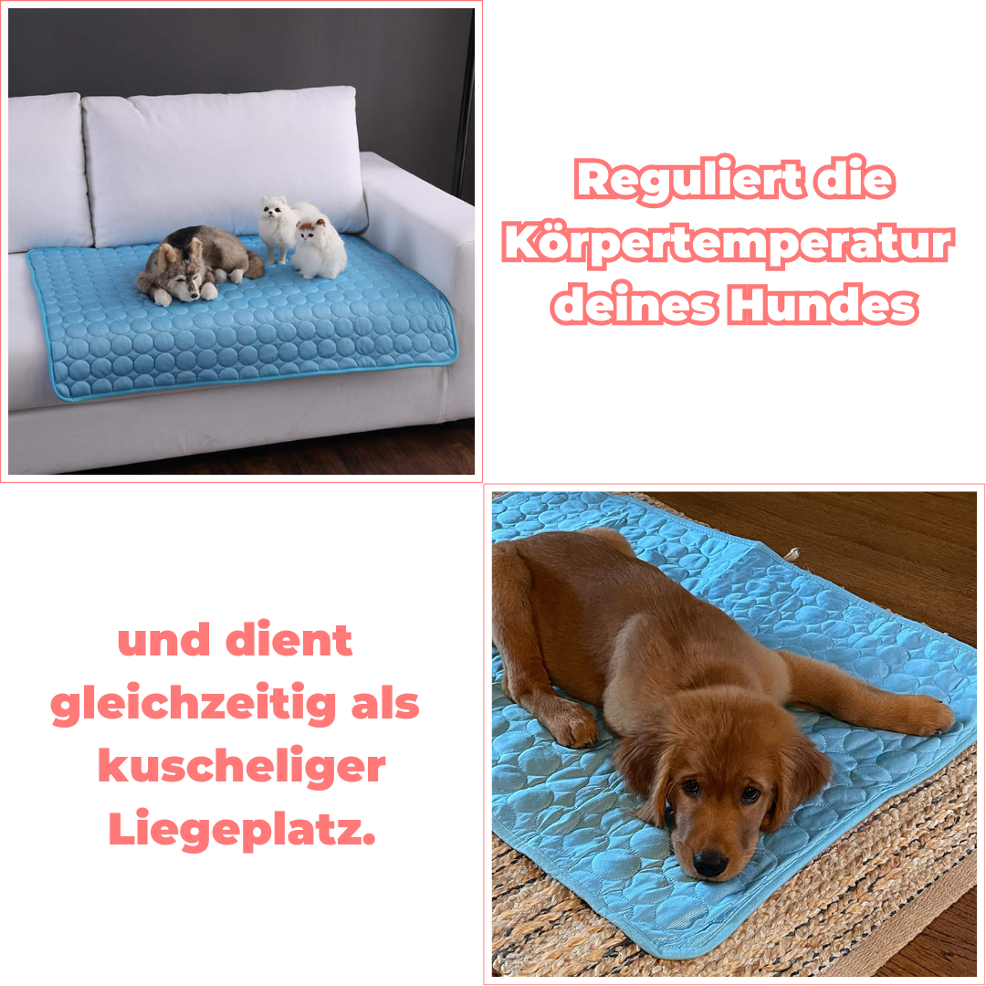 PawComfort – Tapis rafraîchissants pour chiens | Idéal pour les journées chaudes