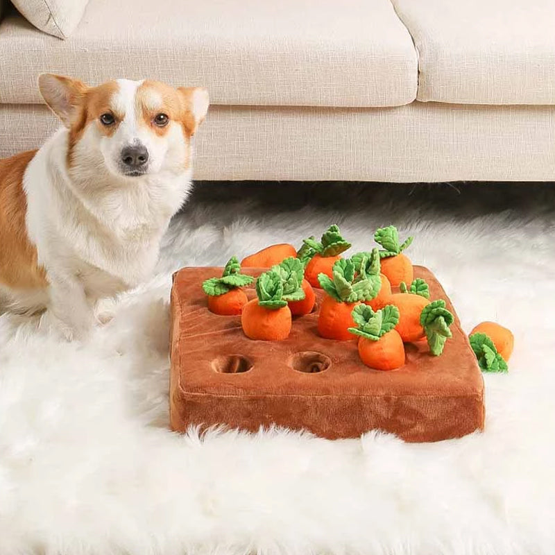 Jouet pour chien Carrot Garden - Puzzle interactif amusant