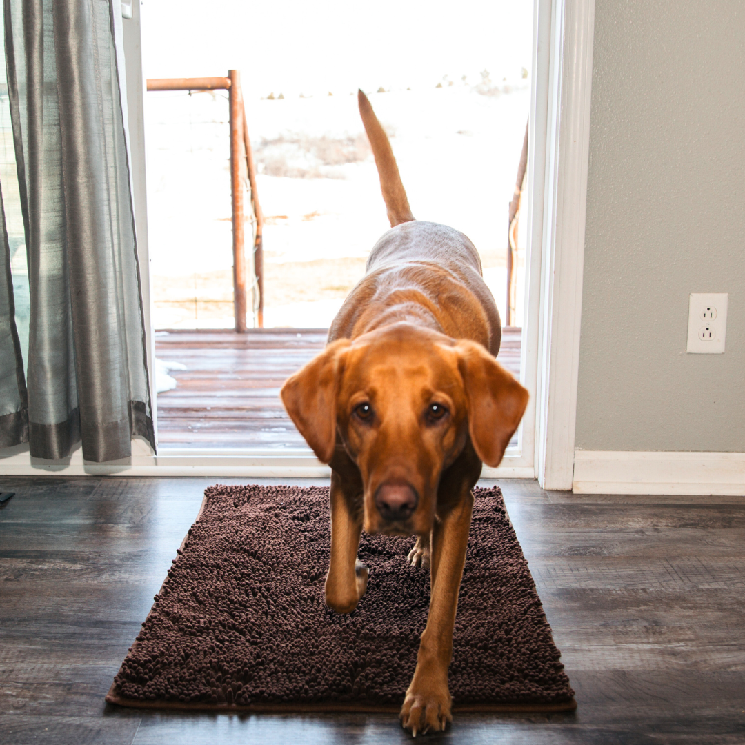 Paillasson absorbant pour chien - Pour des pattes propres