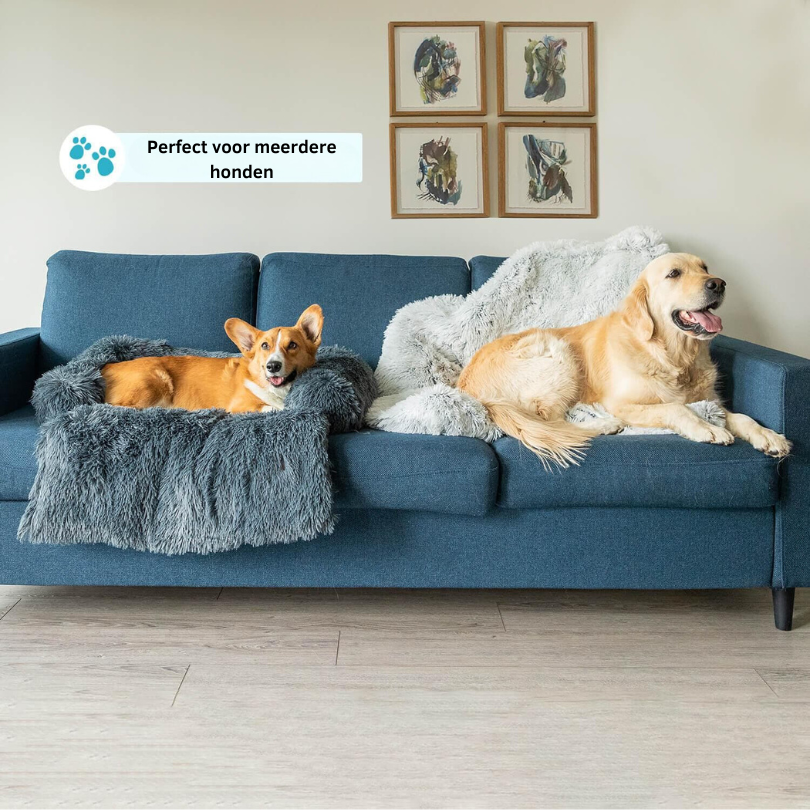 PawComfort - Couverture agréable pour chien | Chaleur pour les journées froides