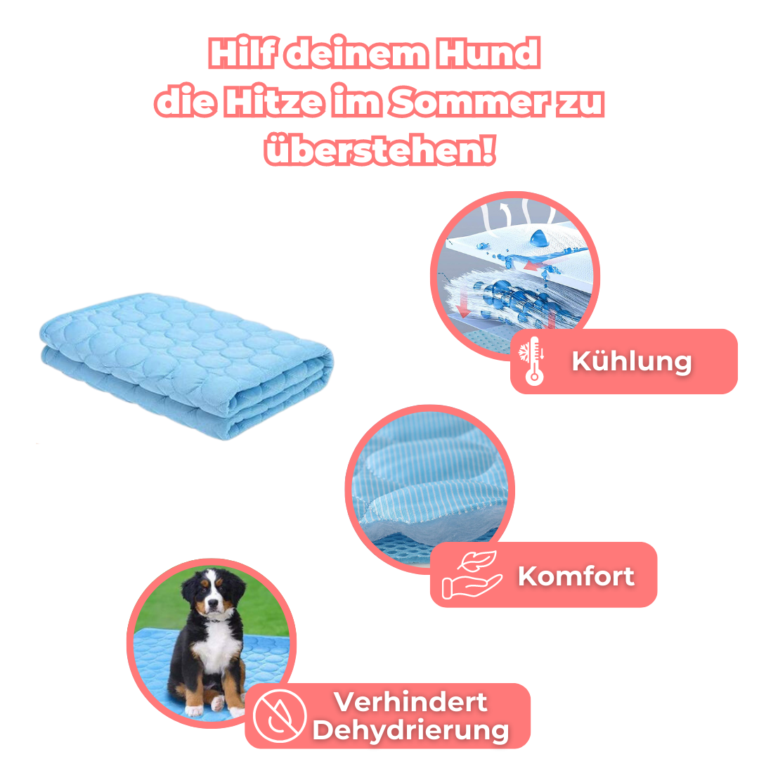 PawComfort – Tapis rafraîchissants pour chiens | Idéal pour les journées chaudes