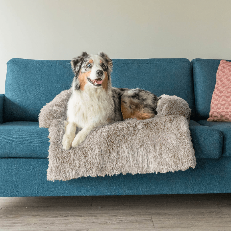 PawComfort – Protecteur de meubles et taille de lit pour chien | Idéal pour se protéger