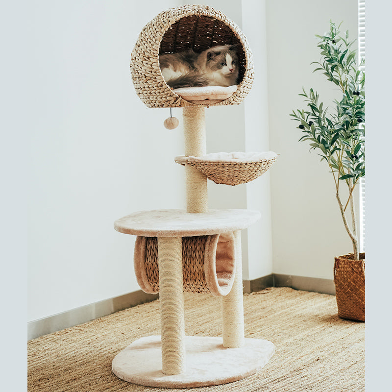 Arbre à chat en forme de nid d'oiseau - Espace de jeu et de repos pour chats