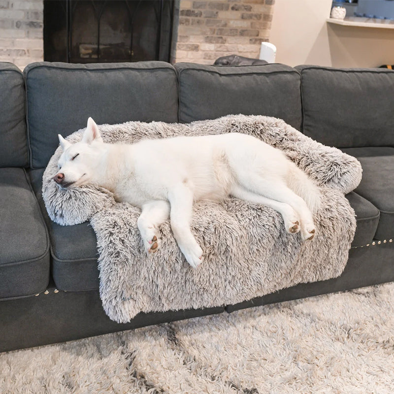 PawComfort – Protecteur de meubles et taille de lit pour chien | Idéal pour se protéger