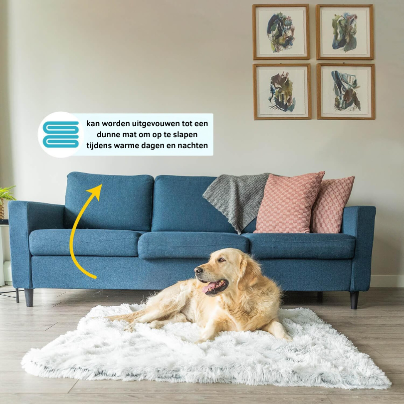 PawComfort - Couverture agréable pour chien | Chaleur pour les journées froides