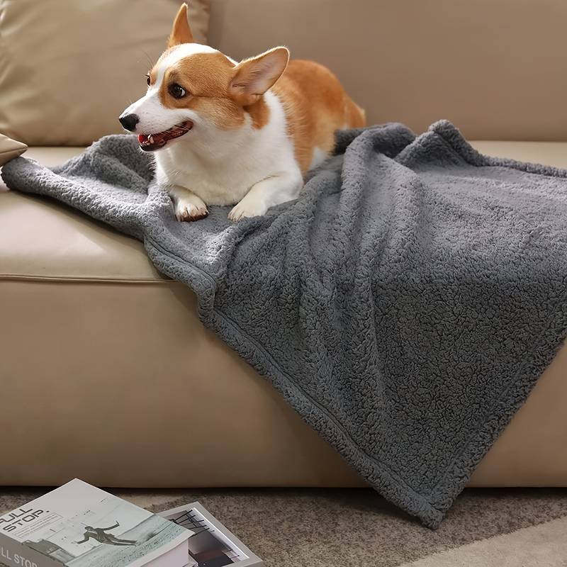 PawComfort – Couverture polaire confortable pour chiens | Chaud et confortable