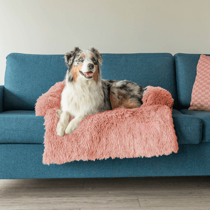 PawComfort – Protecteur de meubles et taille de lit pour chien | Idéal pour se protéger