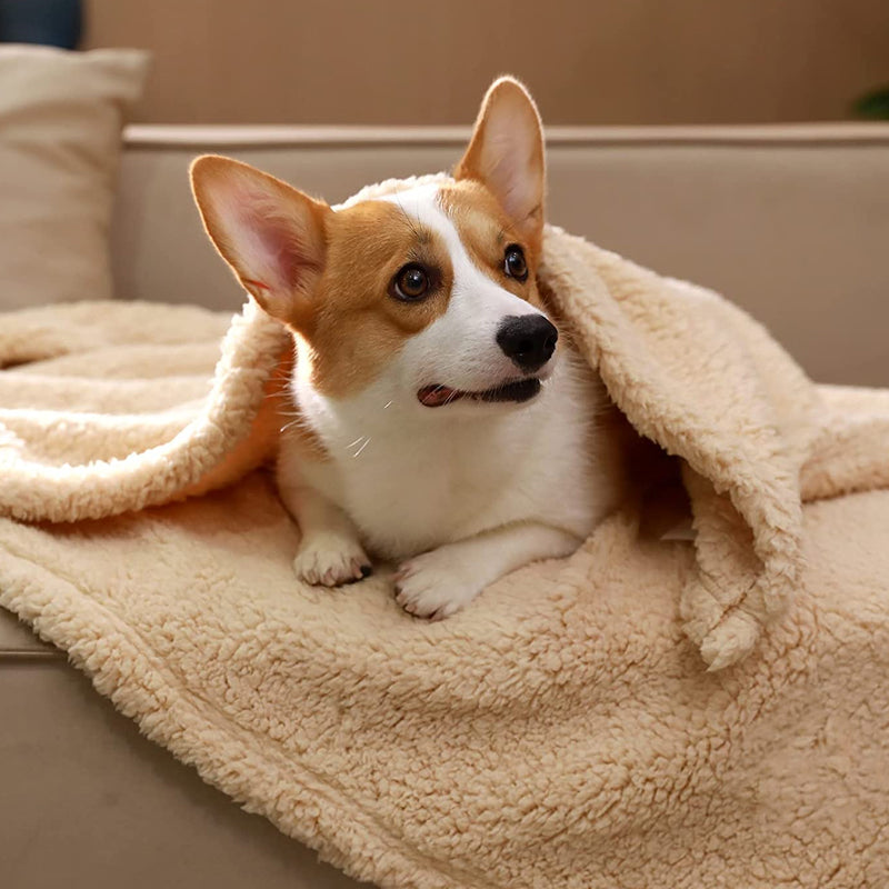 Couverture en polaire pour animaux - Chaleur et confort