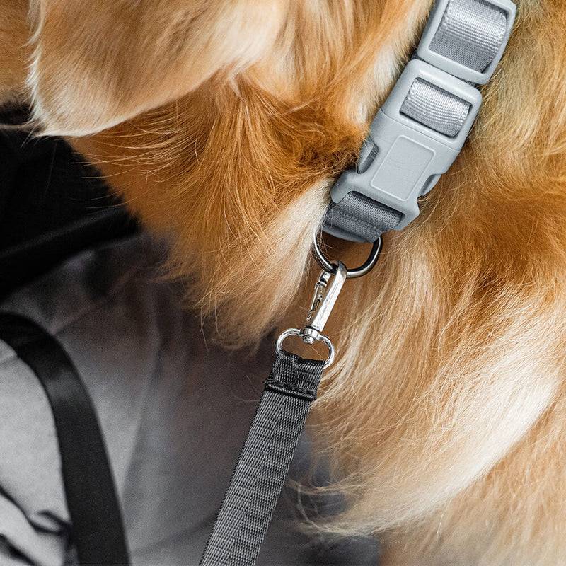 PawComfort - Canapé de voyage pour chiens | Pratique et confortable pour voyager