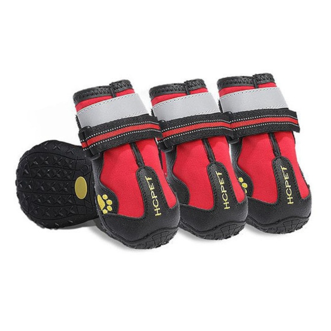 Chaussures pour chiens élégantes - Protection et confort