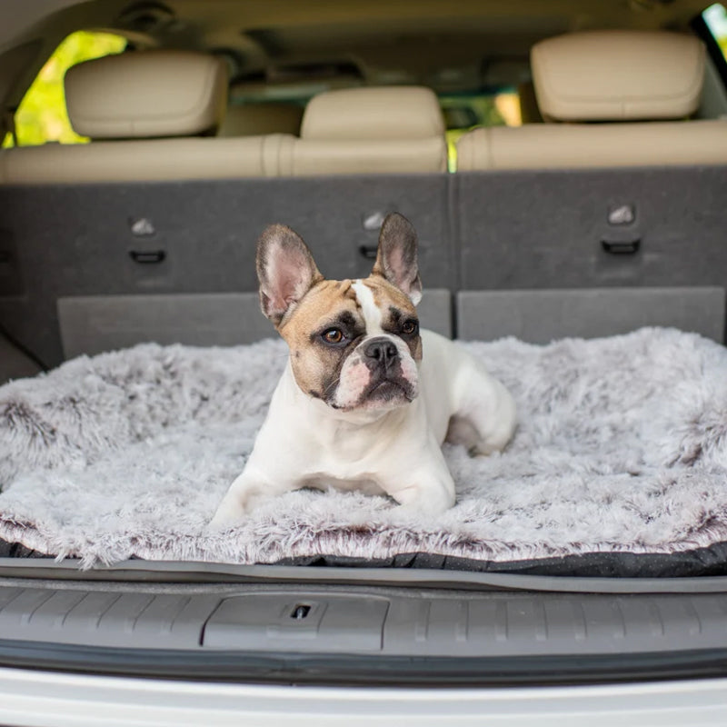 PawComfort – Protecteur de meubles et taille de lit pour chien | Idéal pour se protéger