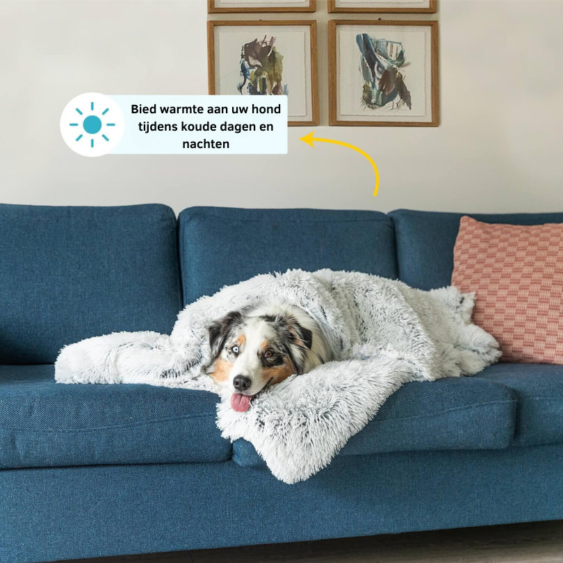 PawComfort - Couverture agréable pour chien | Chaleur pour les journées froides