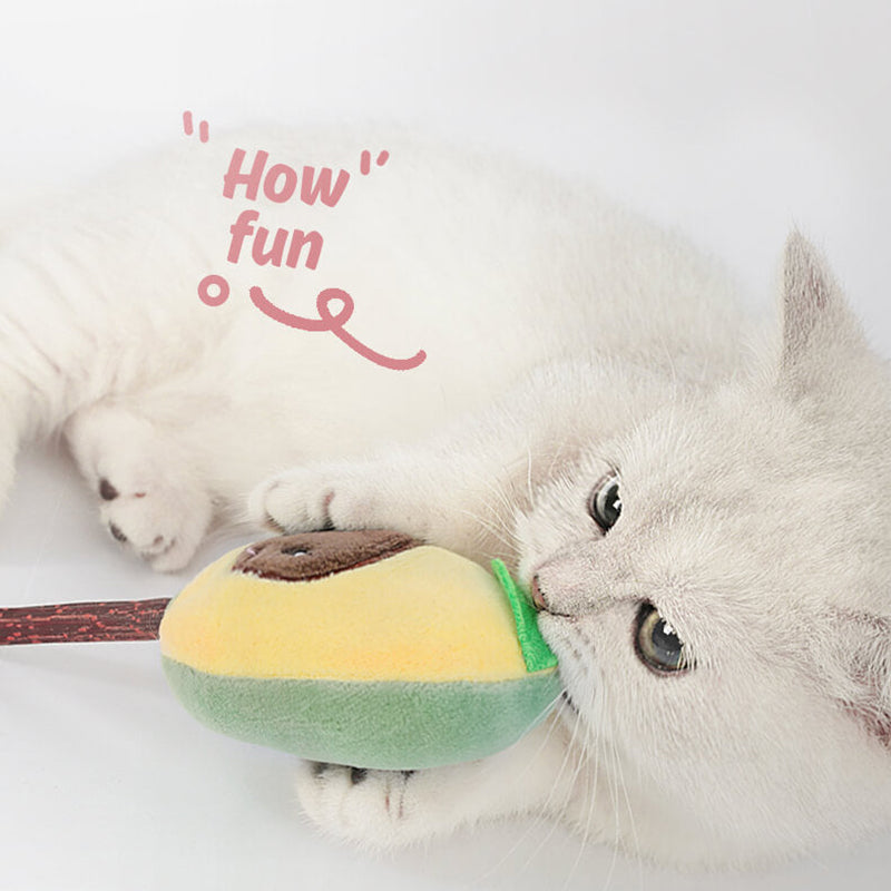 Ensemble de jouets pour chats en forme de fruits - Amusants et ludiques