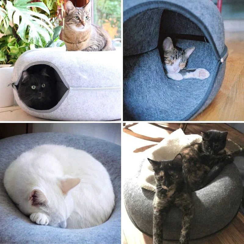 Lit et maison de jeu pour chats - Idéal pour confort et amusement