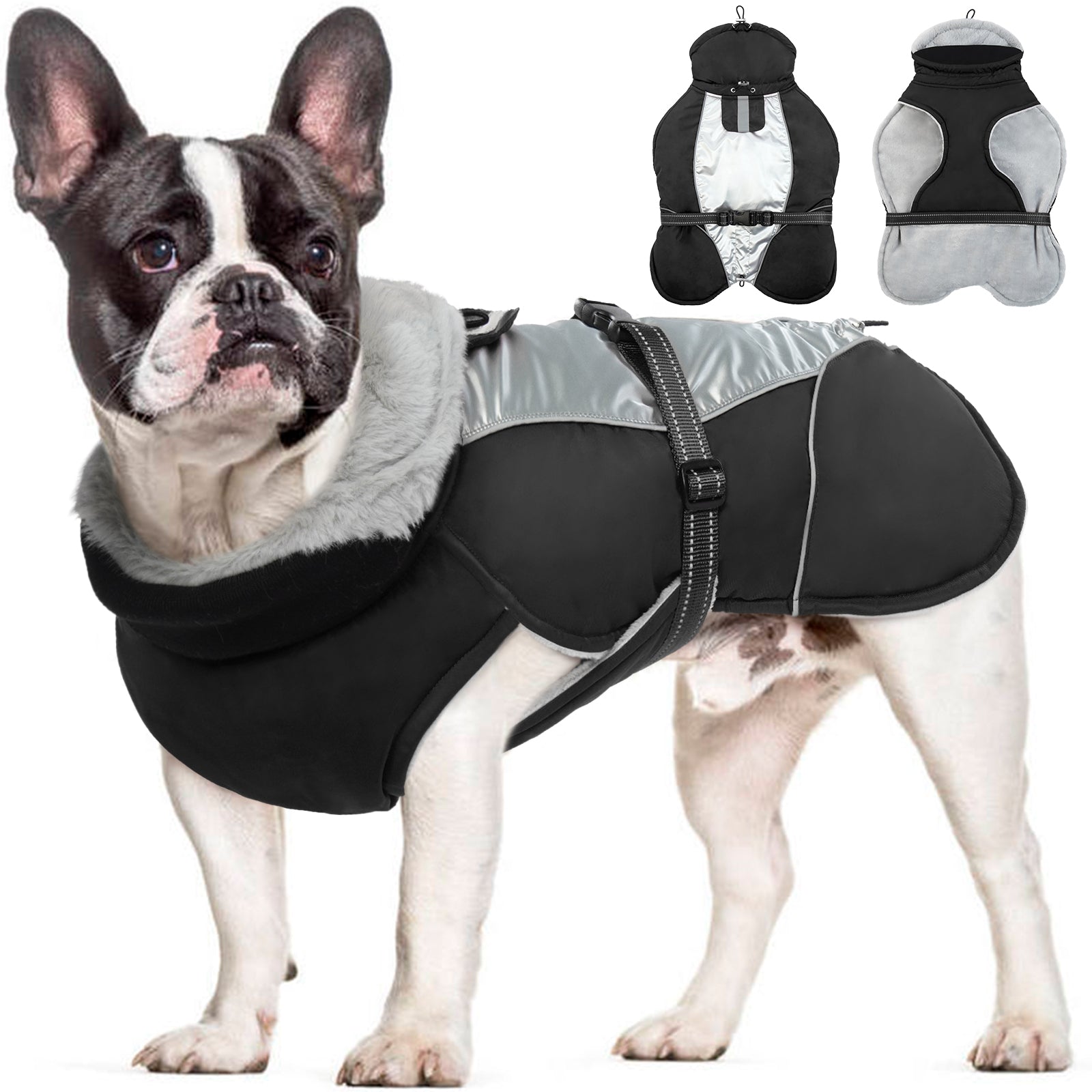 PawComfort - Gilet réfléchissant pour chien pour l'hiver | Sûr et chaleureux