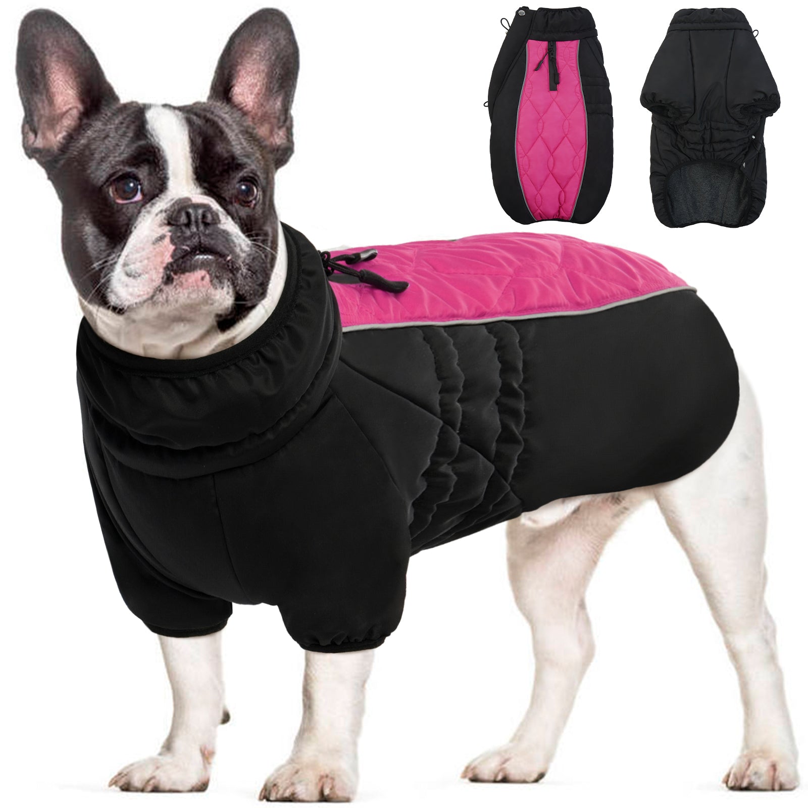 PawComfort - Veste pour chien doublée en polaire - Chaleur pour les jours froids