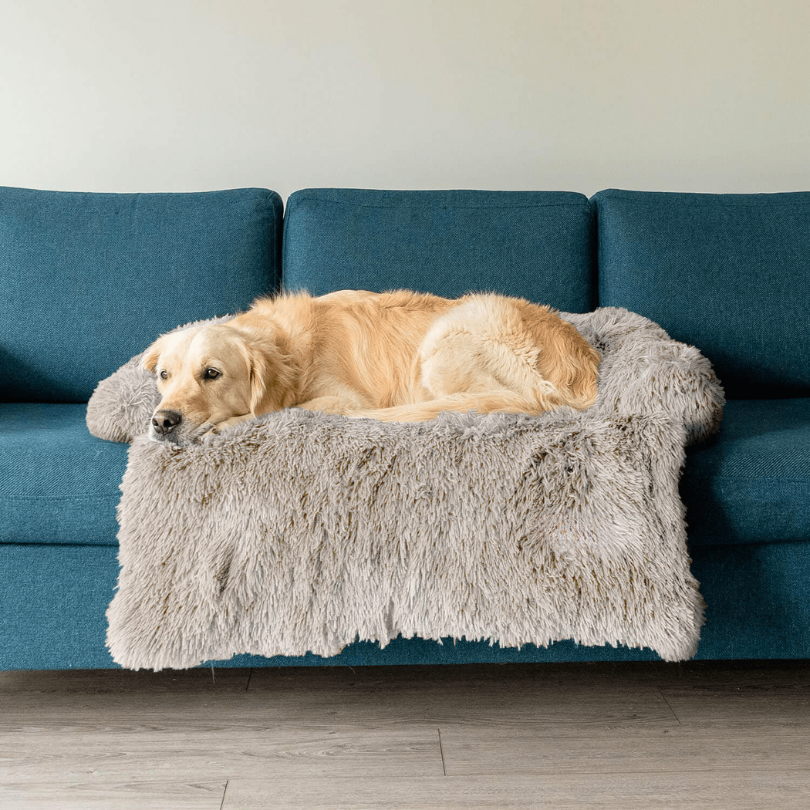 PawComfort – Protecteur de meubles et taille de lit pour chien | Idéal pour se protéger
