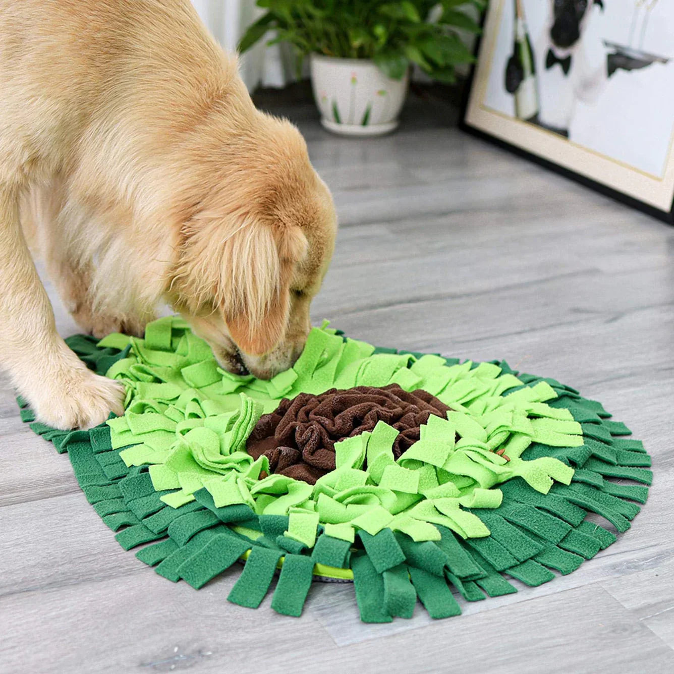 Tapis à priser pour chiens – Jouets stimulants mentalement