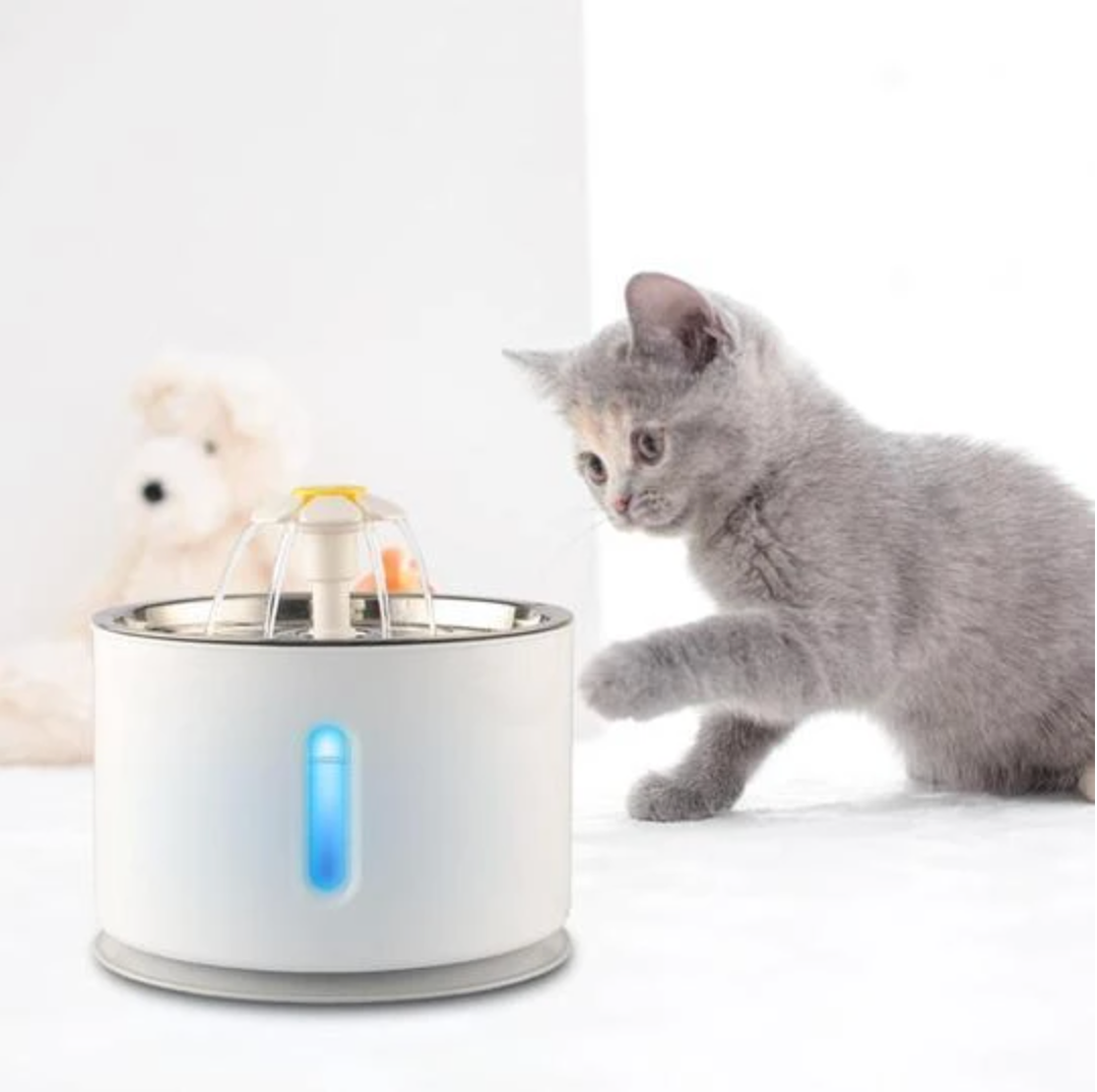 Fontaine à eau automatique pour animaux - Hydratation continue et fraîcheur