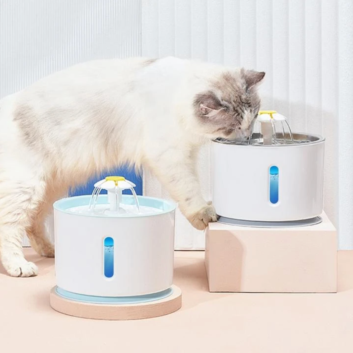 Fontaine à eau automatique pour animaux - Hydratation continue et fraîcheur