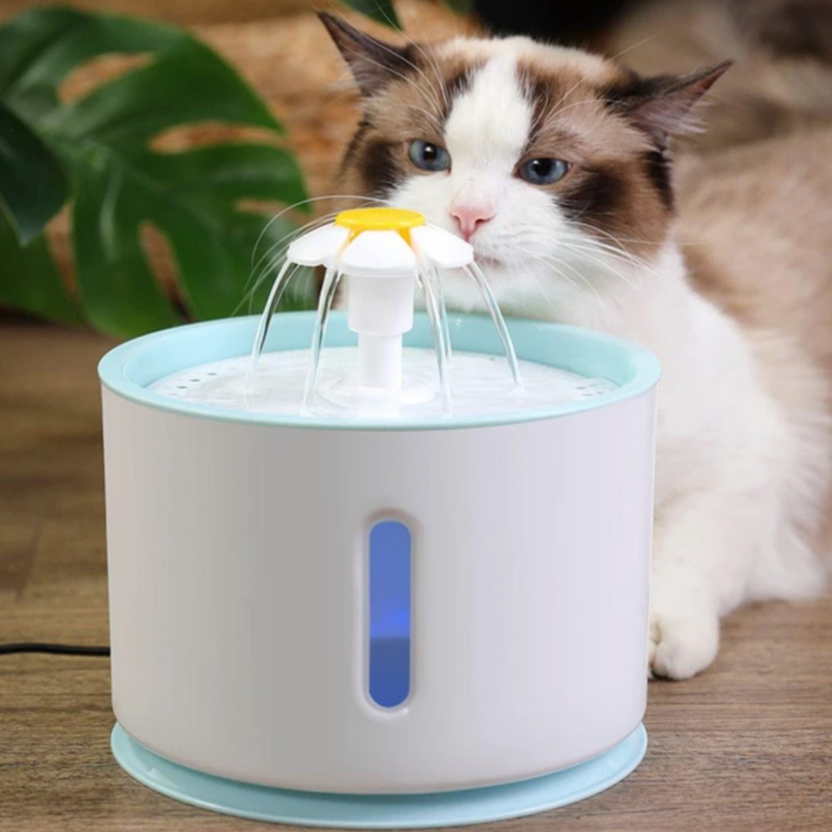 Fontaine à eau automatique pour animaux - Hydratation continue et fraîcheur