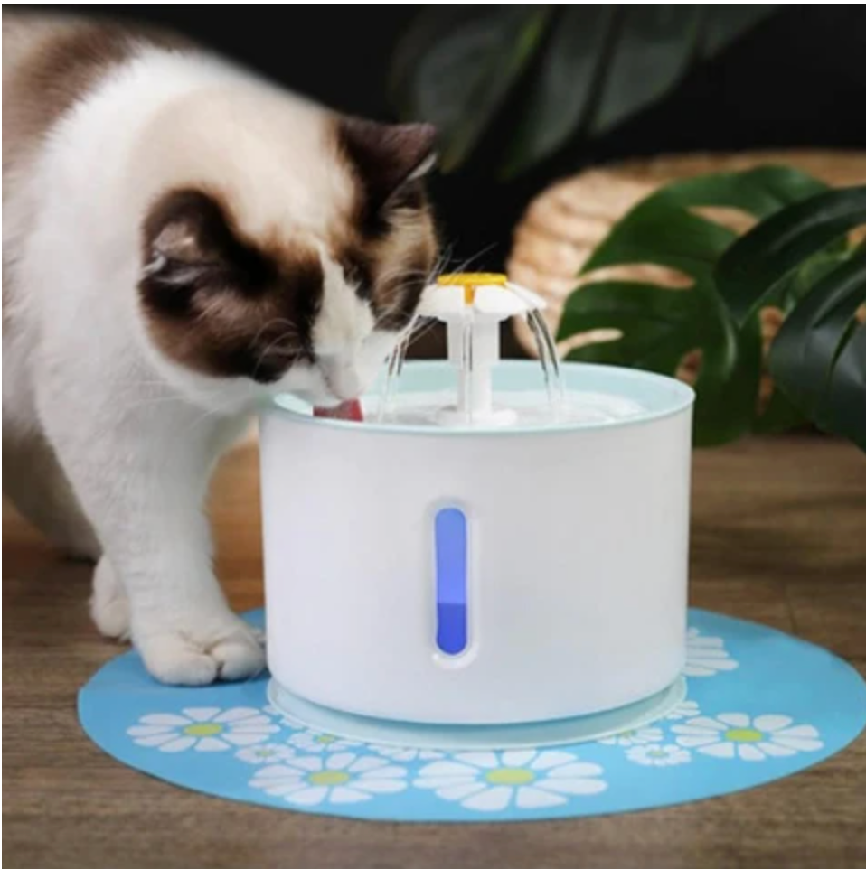 Fontaine à eau automatique pour animaux - Hydratation continue et fraîcheur