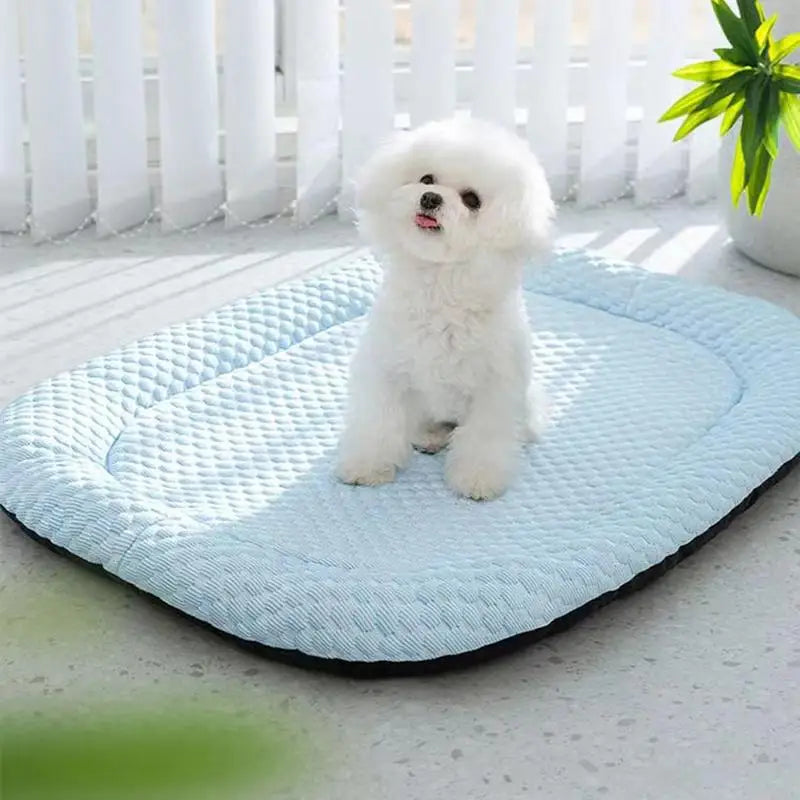 Tapis rafraîchissant pour chats - Fraîcheur et confort