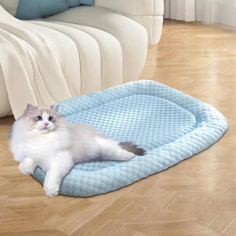 Tapis rafraîchissant pour chats - Fraîcheur et confort