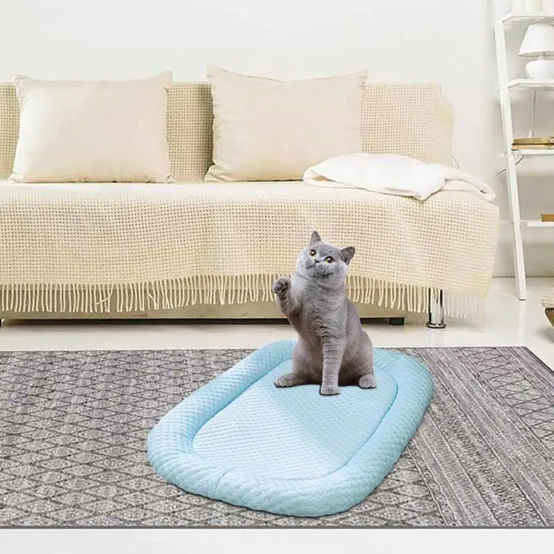 Tapis rafraîchissant pour chats - Fraîcheur et confort